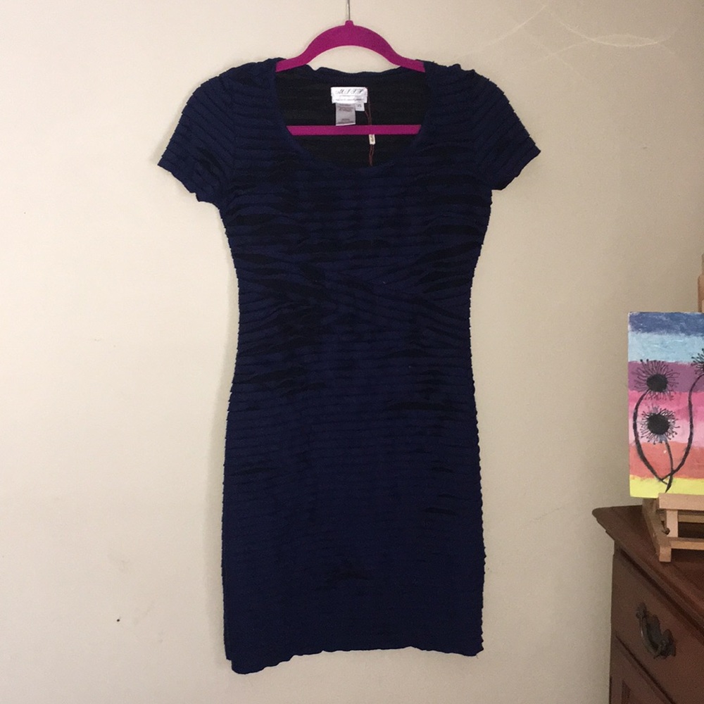 Navy Blue and Black Bodycon Dress